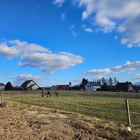 Krysztalowa Dolina *